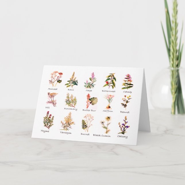 Cartes de voeux Herbes et épices (Devant)