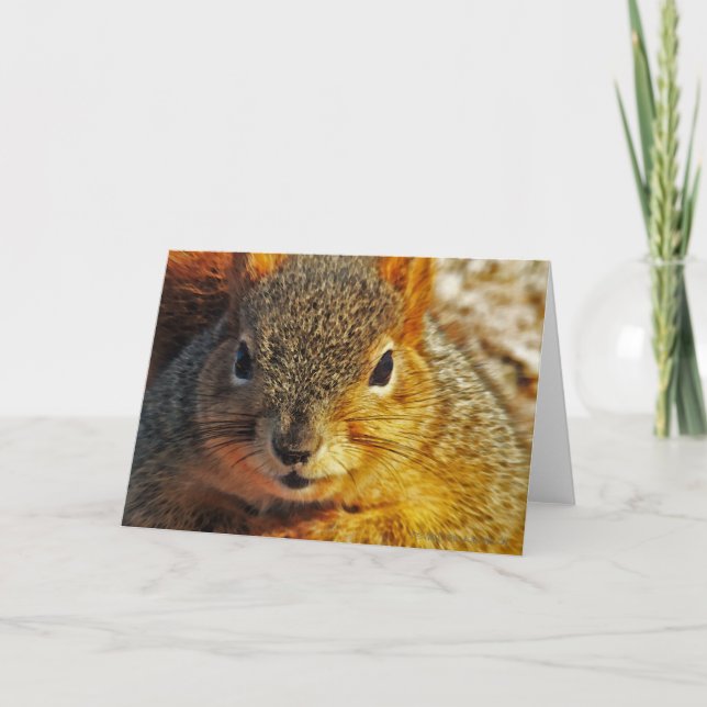 Cartes de voeux jardin écureuil (Devant)
