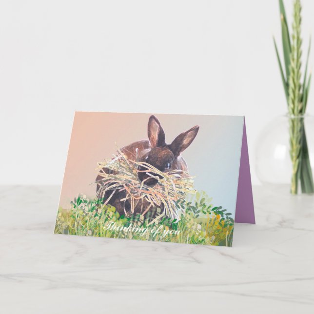 Cartes de voeux Lapin Anniversaire, Sympathie (Devant)