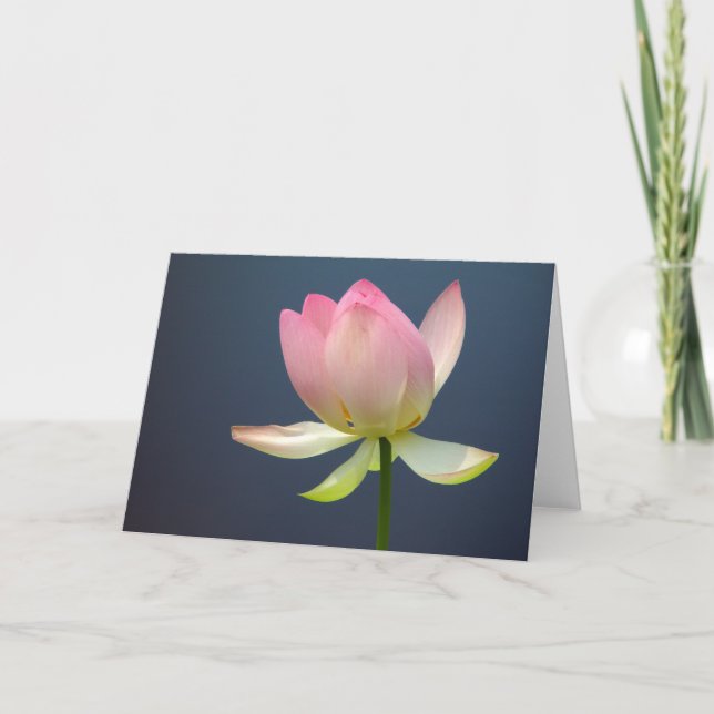 cartes de voeux lotus flower (Devant)