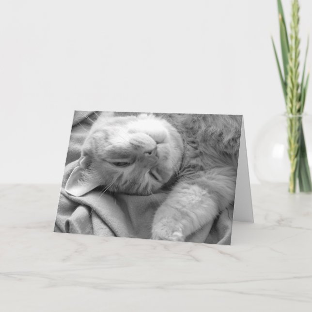 Cartes de voeux Nap Cat (Devant)