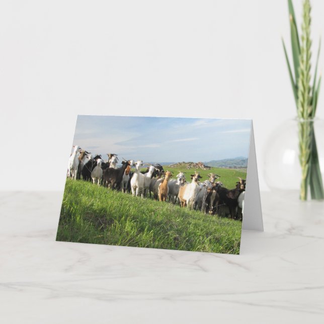 Cartes de voeux NGIP (Devant)