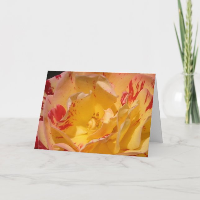 Cartes de voeux ou cartes à notes à fleurs de rose (Devant)