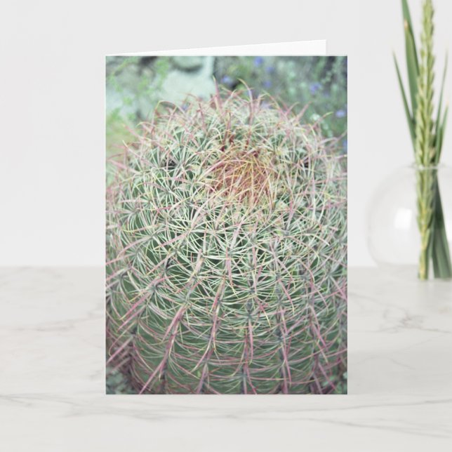 Cartes de voeux ou cartes de notes de Cactus à tor (Devant)