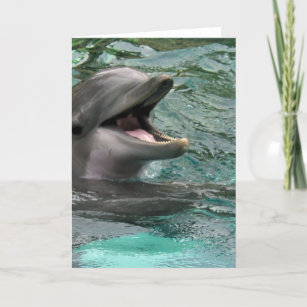 Cartes de voeux parlantes de dauphin