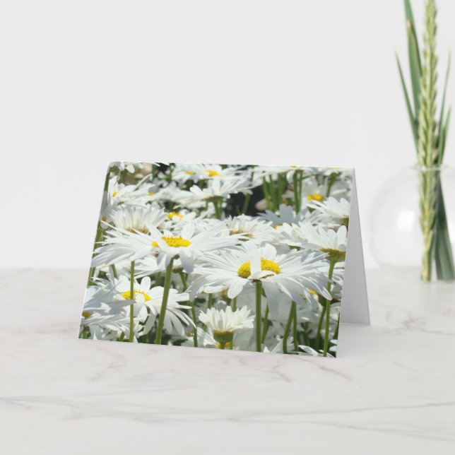 Cartes de voeux personnalisées Fleurs marguerites  (Devant)