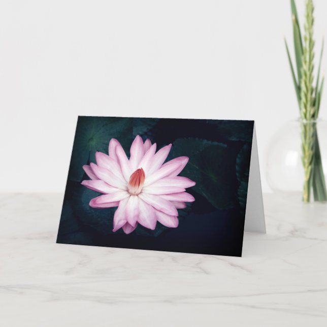 Cartes de voeux Pink Lotus Flower (Devant)