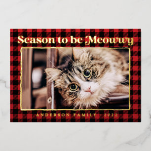 Cartes de vœux plaid drôle de photo de chat de com