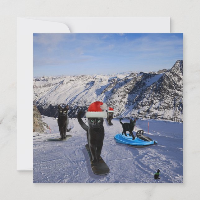 Cartes de vœux pliées Chats noirs sur snowboards (Devant)