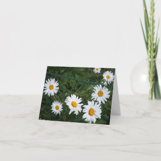Cartes de voeux pliées vierges