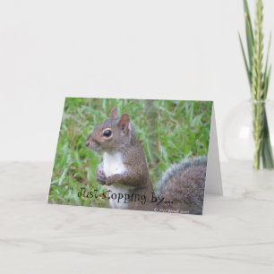 Cartes de voeux pour animaux