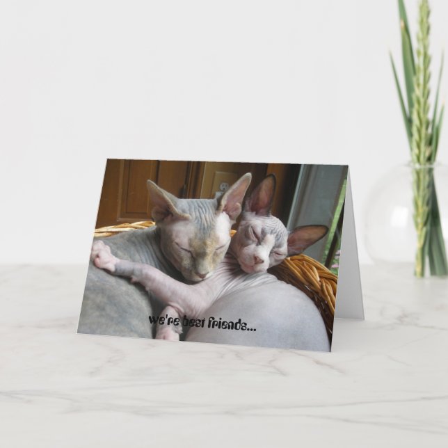 Cartes de voeux pour des amants (Devant)