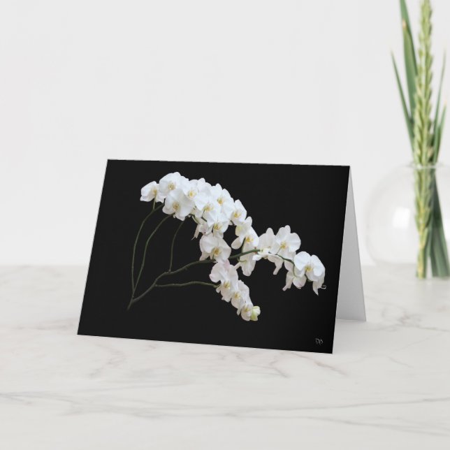 Cartes de voeux pour orchidée blanche (Devant)