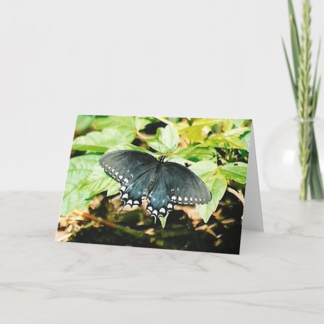 Cartes de voeux pour papillon noir blanc (Devant)