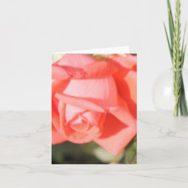 Cartes de vœux Rose Corail (Devant)