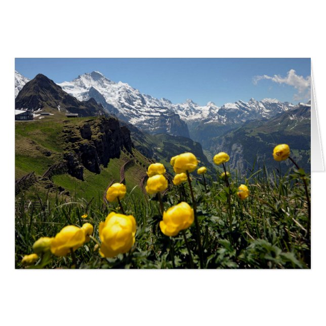 Cartes de voeux suisses, Grindelwald, fleurs (Devant horizontal)