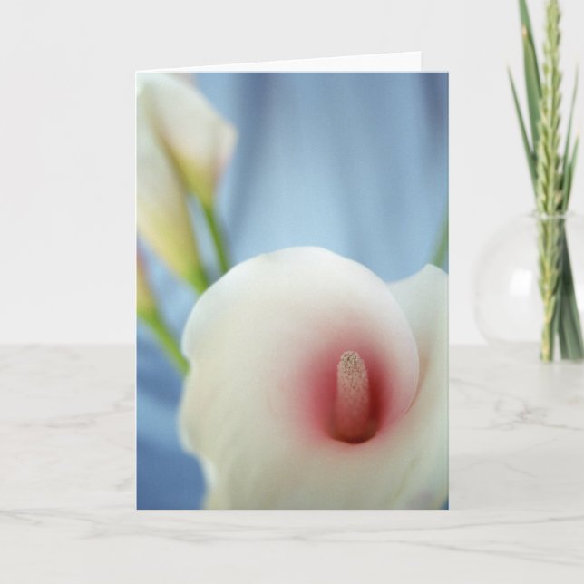Cartes de voeux Swirl White Calla Lily (Devant)