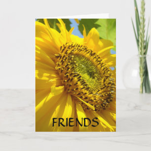 Cartes de vœux TOURNESOLS FLEURS DE TOURNESOL CART