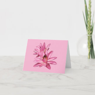 Cartes de vœux vierges aux nénuphars roses