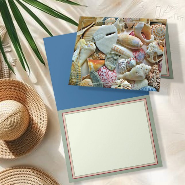 Cartes de vœux vierges Collection de coquillages d (Créateur téléchargé)