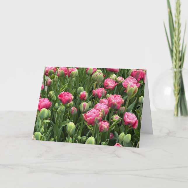 Cartes de vœux vierges jonchées de tulipes (Devant)