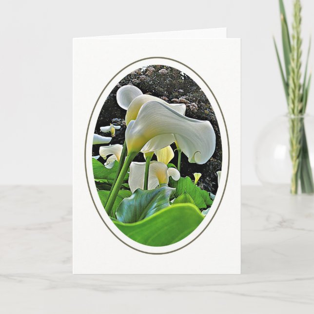 Cartes de vœux vierges Lys d'Arum (Devant)
