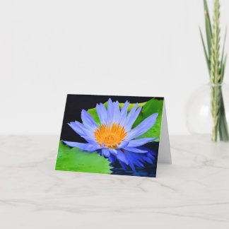 Cartes de vœux vierges Lys d'eau Bleu