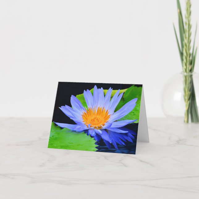 Cartes de vœux vierges Lys d'eau Bleu (Devant)