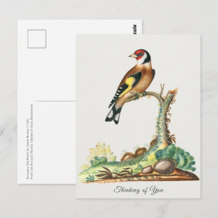 Cartes de vœux vintage Chardonneret doré De la par