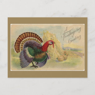 Cartes de vœux vintage pour Thanksgiving  Dindon