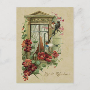 Cartes de vœux vintage reproduction oiseaux à la f