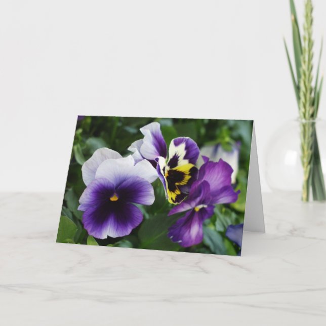Cartes de voeux Violet (Devant)
