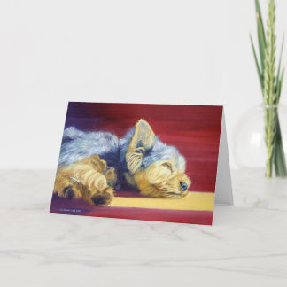 Cartes de voeux Yorkshire Terrier