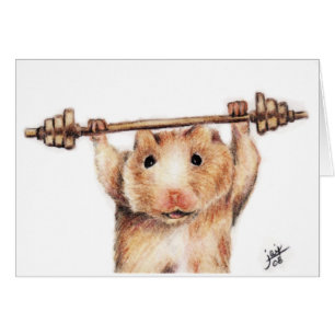 Cartes d'entraînement (Hamster)