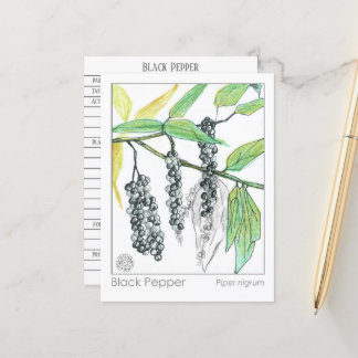 Cartes d'étude sur les plantes médicinales Materia