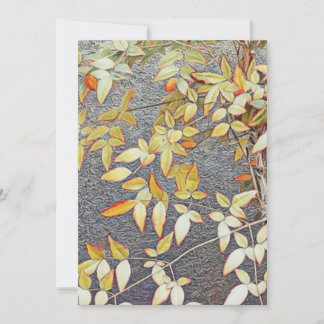 Cartes d'invitation /