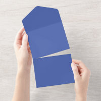 Cartes d'invitation de mariage tout-en-un | RSVP.