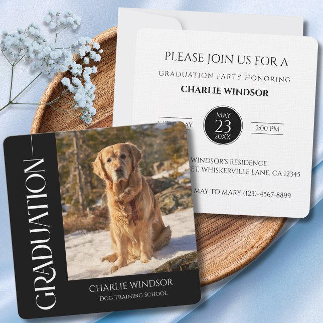 Cartes d'invitation de remise de diplômes pour chi (pet graduation invitation and announcement cards)