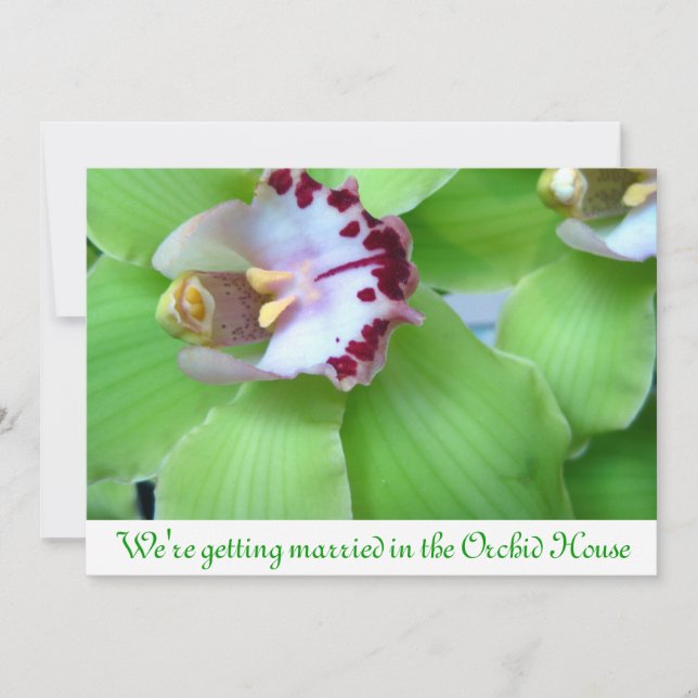 Cartes d'invitation Orchidées Vertes (Devant)
