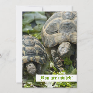 Cartes d'invitation personnalisées pour tortues mi
