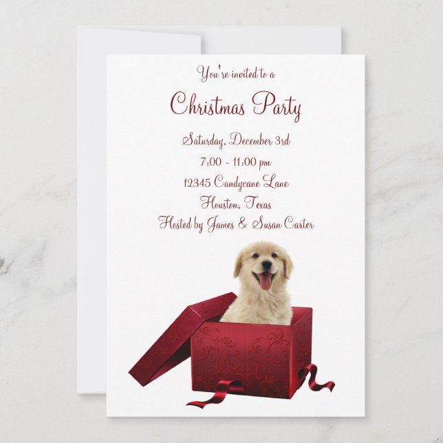 Cartes d'invitation pour une fête de Noël avec chi (Devant)