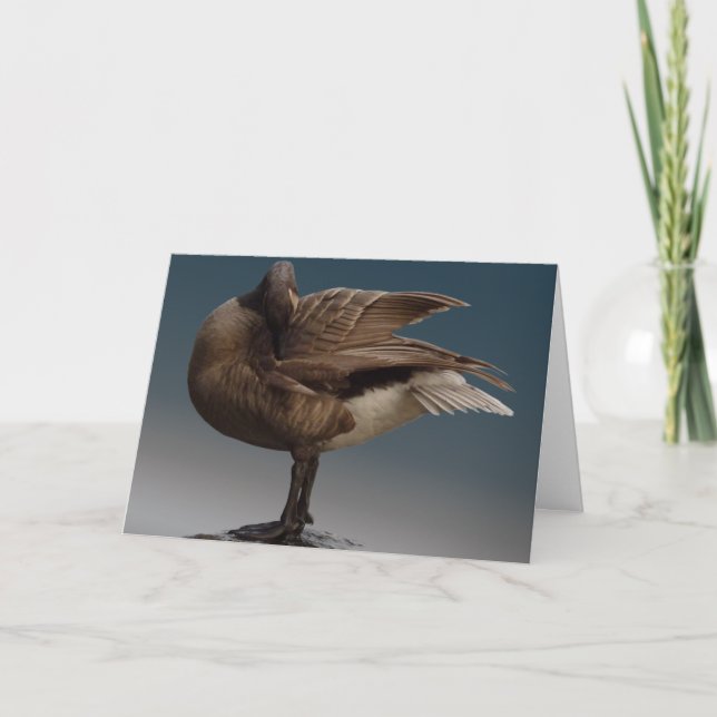 Cartes d'oies du Canada Cartes d'accueil des oies  (Devant)