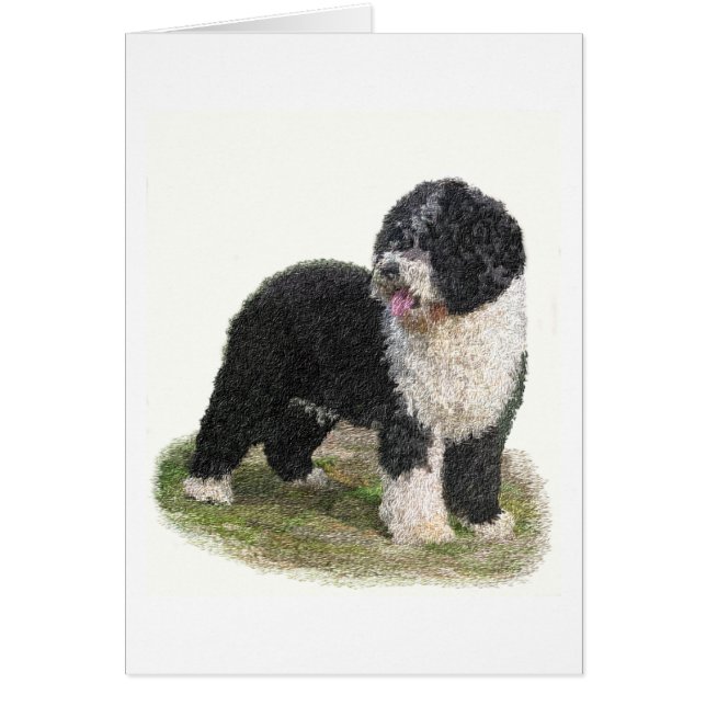 Cartes Espagnoles de Chien d'Eau (Devant)