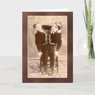 Cartes et cartes postales vintages unies de