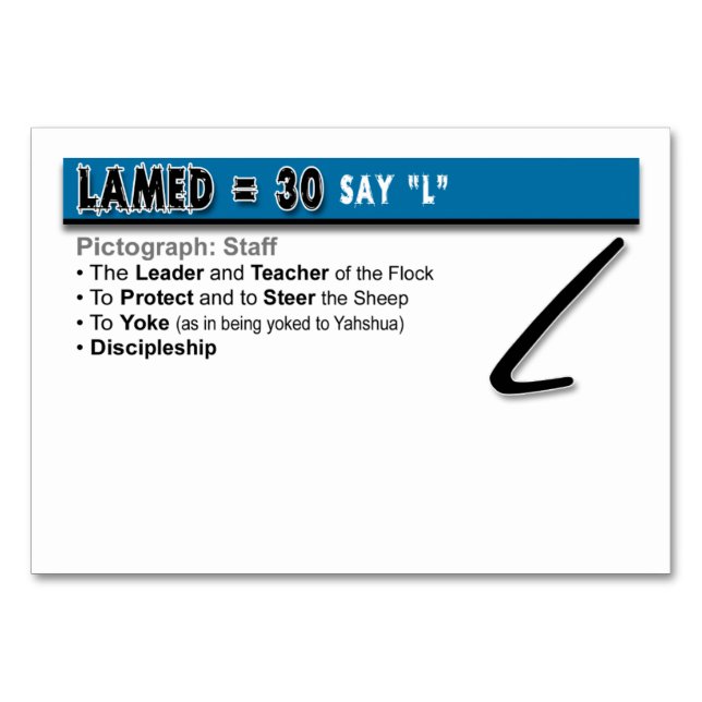 Cartes flash Otiot : 12 sur 22 (Dos)