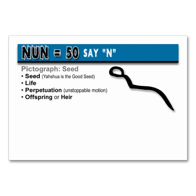 Cartes flash Otiot : 14 sur 22 (Dos)