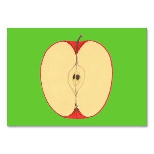 Cartes Flashcards pour adultes