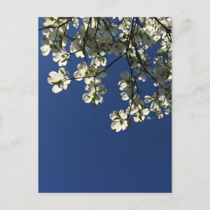 Cartes Fleur de Cornouiller