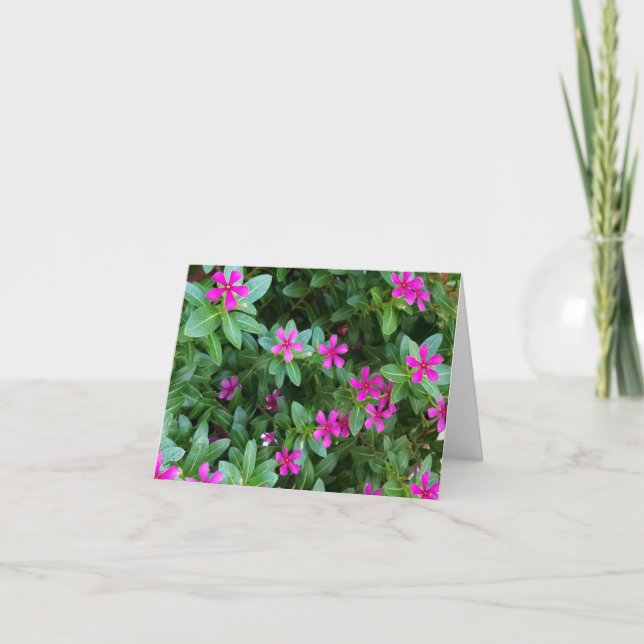 Cartes Flower Note (Devant)