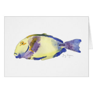 Cartes jaunes/bleues de poissons